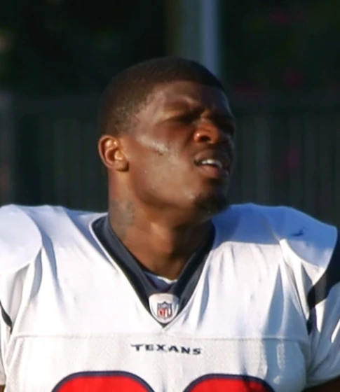 Andre Johnson