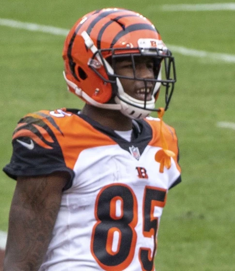 Tee Higgins